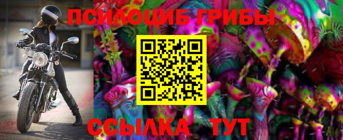 купить наркоту  Вход с VPN  Нефтекамск  Галлюциногенные грибы Psilocybine cubensis  Галлюциногенные грибы MAGIC MUSHROOMS 